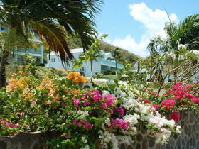 Timothy Beach Resort