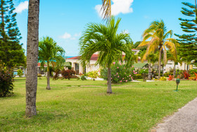 The Mount Nevis Hotel