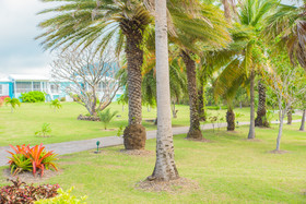 The Mount Nevis Hotel