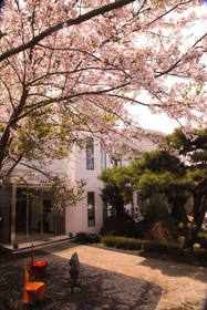 Amber Pure Hill Hotels & Resorts Green Valley