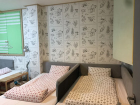 Backpackers in Jeju City Center