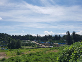 Bombom Guesthouse
