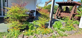 Casa Linda Guesthouse