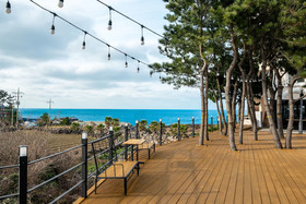 Cocoon Hotel
