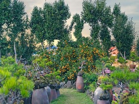 Diorem Pension