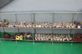 Eutteum Won Pension