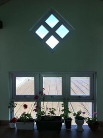 Flora Pension
