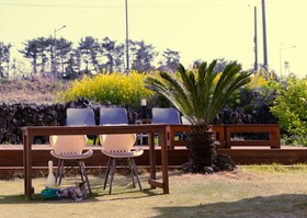 Hello Project Guesthouse - Hostel