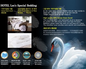 Hotel Leo