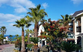 Jeju 20 Young Guest House