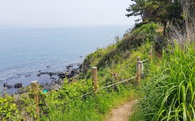 Jeju 20 Young Guest House