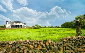 Jeju Bandi House Pension