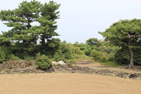 Jeju Feel House