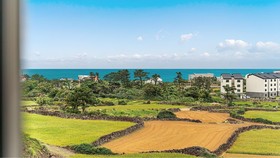 Jeju Hoyeongfarm Stay