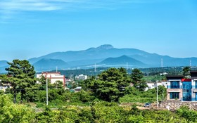 Jeju Hyeopjae Haeohreum Pension
