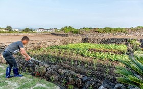 Jeju Hyeopjae Haeohreum Pension