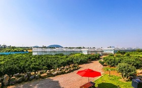 Jeju Osaekgyul Cheheom Pension