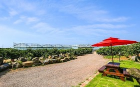Jeju Osaekgyul Cheheom Pension