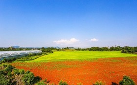 Jeju Osaekgyul Cheheom Pension