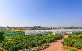 Jeju Osaekgyul Cheheom Pension