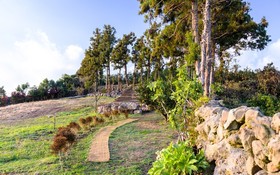 Jeju Patio Aewol