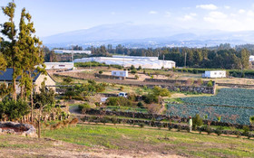 Jeju Patio Aewol