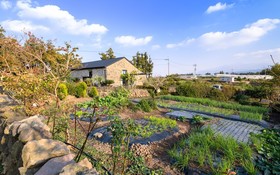 Jeju Patio Aewol