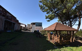 Joy Hill House