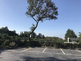 Terrace Hill Resort