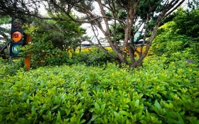 Anseong Lake Pension