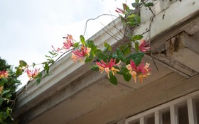 Anseong Provence Pension