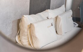 Anyang Donkey Hotel