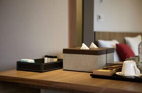 CS Premier Hotel