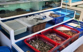 Boryeong Beach House Pension