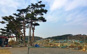 Boryeong Muchangpo Gandri House Pension