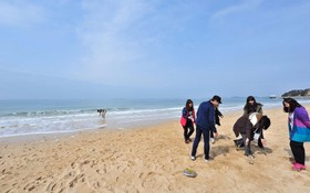 Boryeong Rodem Pension