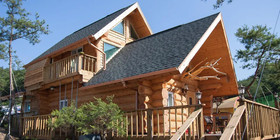 SSE Log Town