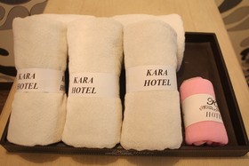 Bucheon Kara