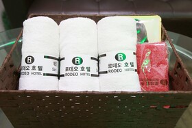 Bucheon Rodeo