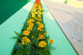 24 Guesthouse Jagalchi