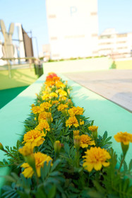 24 Guesthouse Jagalchi