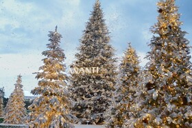 Ananti At Busan Village