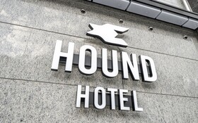 Busan Gijang Hound Gijang Ilgwang