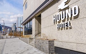 Busan Gijang Hound Gijang Ilgwang