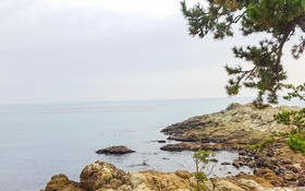 Busan Maru House Pension