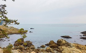 Busan Maru House Pension