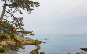 Busan Maru House Pension