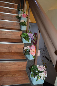 FunStay Inn Guesthouse