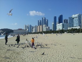 Haeundae With Guesthouse