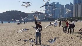 Haeundae With Guesthouse